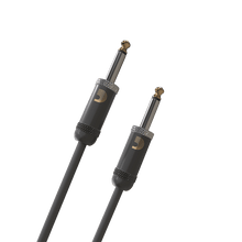 Load image into Gallery viewer, D'Addario Stage Instrument Cable Straight to Straight 10ft